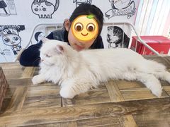 -小时光咖啡馆(开森度假森林店)