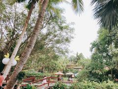-海南热带野生动植物园