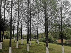 -洋湖国家湿地公园