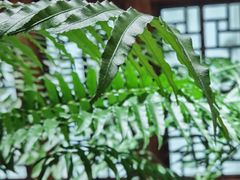-德迹斋禅意文化茶馆·茶空间·商务洽谈•宴席(桃园店)