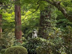 -三千院