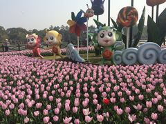 -上海鲜花港