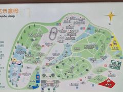 -广东茂名森林公园