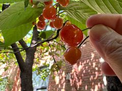 -boundaries籬苑(瑞光创意工厂-贰号院店)