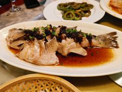 -老广酒楼(樱花店)
