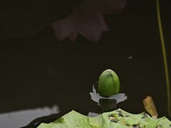 -钱王祠