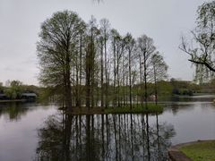 -上海共青森林公园