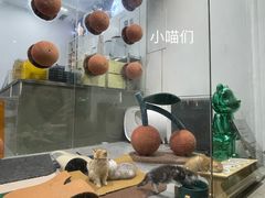 -极木²邸 人与宠物·互动社区