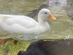 -合肥海洋世界