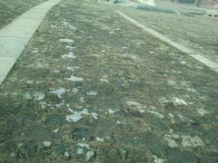 android_upload_pic-清东陵