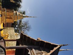 -帕辛寺