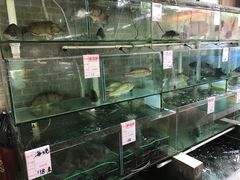 水产区-祈胜邨•顺德鱼生•顺德菜(容桂店)