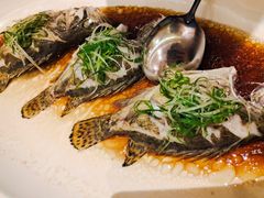 -上座云间·青年赣菜(绿茵店)