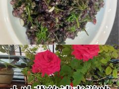 -福照楼汽锅鸡·云南特色菜(万达广场店)