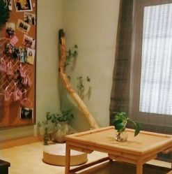 -香秀空间科技抗衰·美容中心