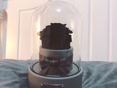 -ROSEONLY诺誓(国际广场购物中心店)