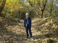 -紫金山山顶公园