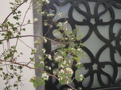 -稍可轩博物馆餐厅