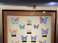 -上海昆虫博物馆