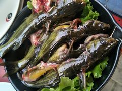 -二荆条·蜀鲜汇城市森林火锅