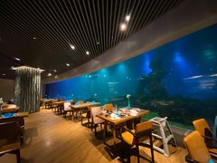 -海棠湾洲际-涛·海底餐厅·美人鱼·自助餐·海底隧道