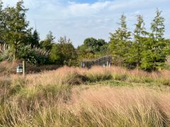 -田园东方蜜桃村的田野营地