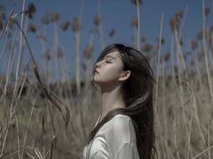 -蒲河岛湿地公园