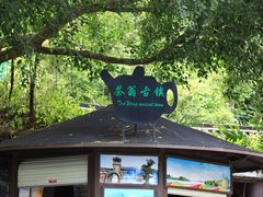-东部华侨城
