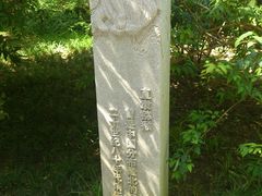 DSC_3339-南馆公园