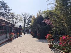 -红螺寺