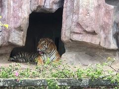 -长鹿旅游休博园