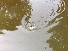 -酷鱼垂钓CLUB(朝阳区博大路店 )