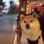 -潍坊站