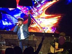 -胡桃里乐队酒馆(鎏嘉码头店)