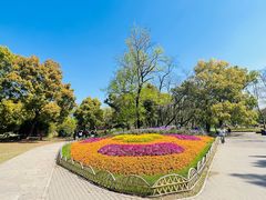 -上海共青森林公园