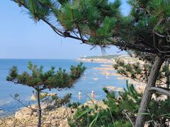 -养马岛旅游度假区