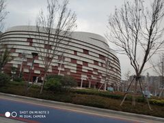 -星光岛