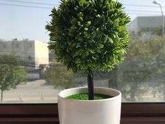 -嘉和一品粥(首经贸店)