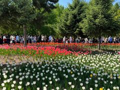 -长春公园(普阳街道)