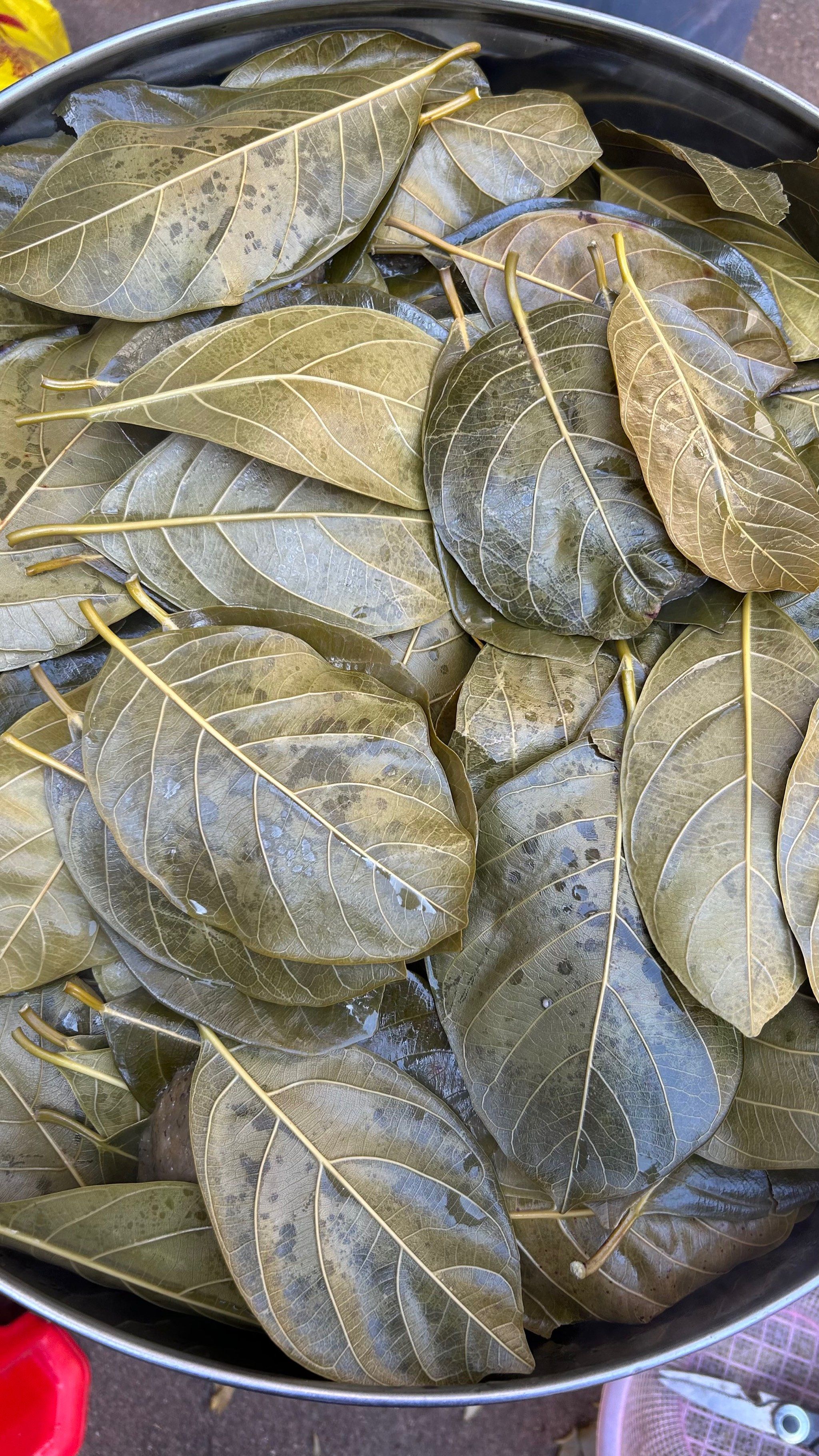 湛江特色糕点:叶搭饼