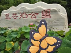 -莲花池公园