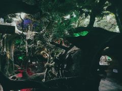 -多彩贵州城极地海洋世界