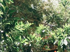 -海韵人家.海景花园经典云南菜(双廊店)