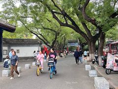 -北京国子监胡同