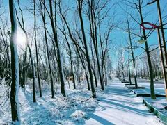 -野鸭湖国家湿地公园