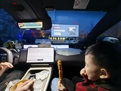 -枫花园汽车电影院(朝阳公园店)