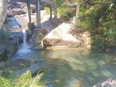 -广州白江湖森林公园