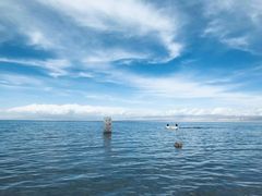 -青海湖国家重点风景名胜区