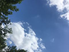 -同济大学(嘉定校区)