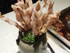 -杨肥肠小火锅(新桥店)